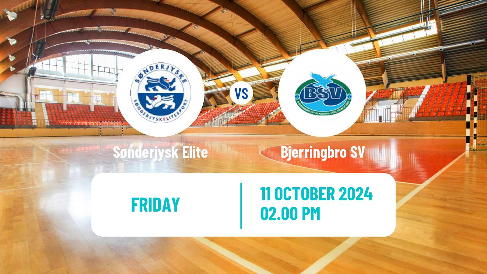 Handball Danish Handbold Ligaen Sønderjysk Elite - Bjerringbro SV