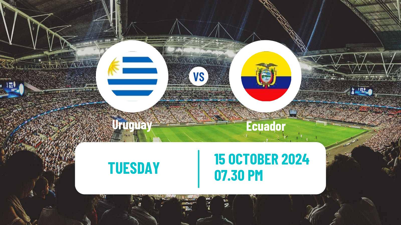 Soccer FIFA World Cup Uruguay - Ecuador