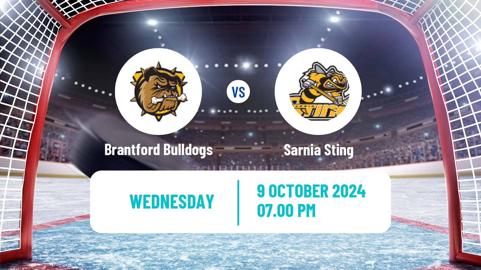 Hockey OHL Brantford Bulldogs - Sarnia Sting