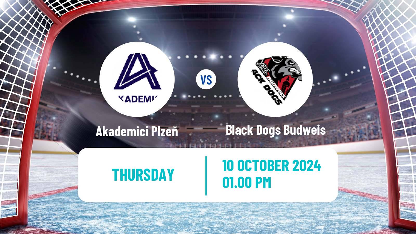 Hockey Czech ULLH Akademici Plzeň - Black Dogs Budweis