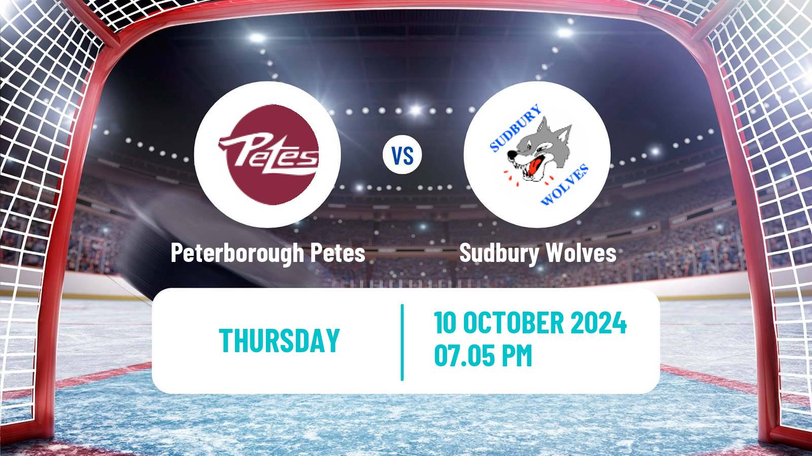 Hockey OHL Peterborough Petes - Sudbury Wolves