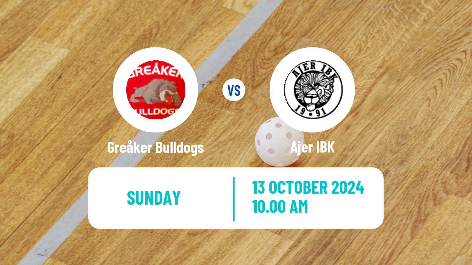 Floorball Norwegian Eliteserien Floorball Greåker Bulldogs - Ajer