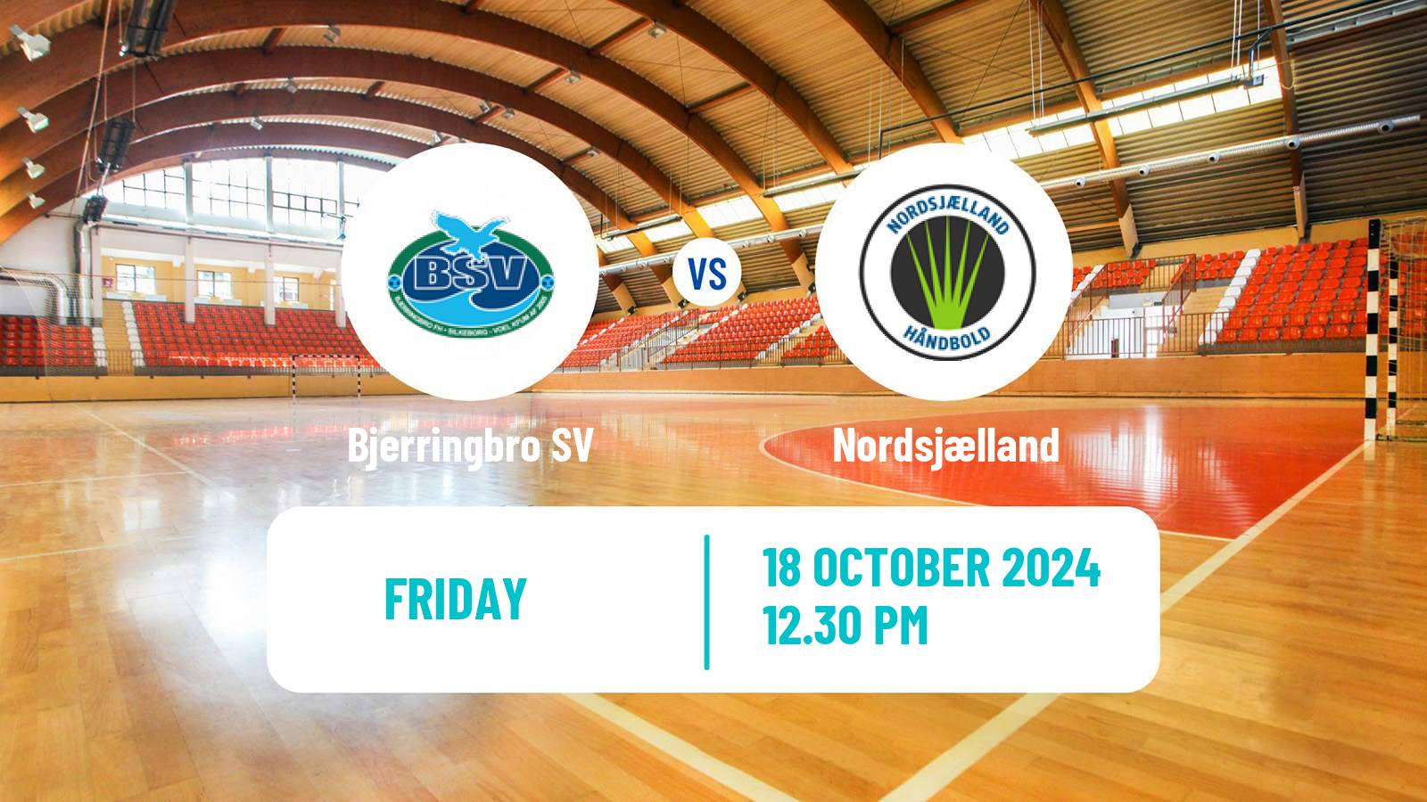 Handball Danish Handbold Ligaen Bjerringbro SV - Nordsjælland