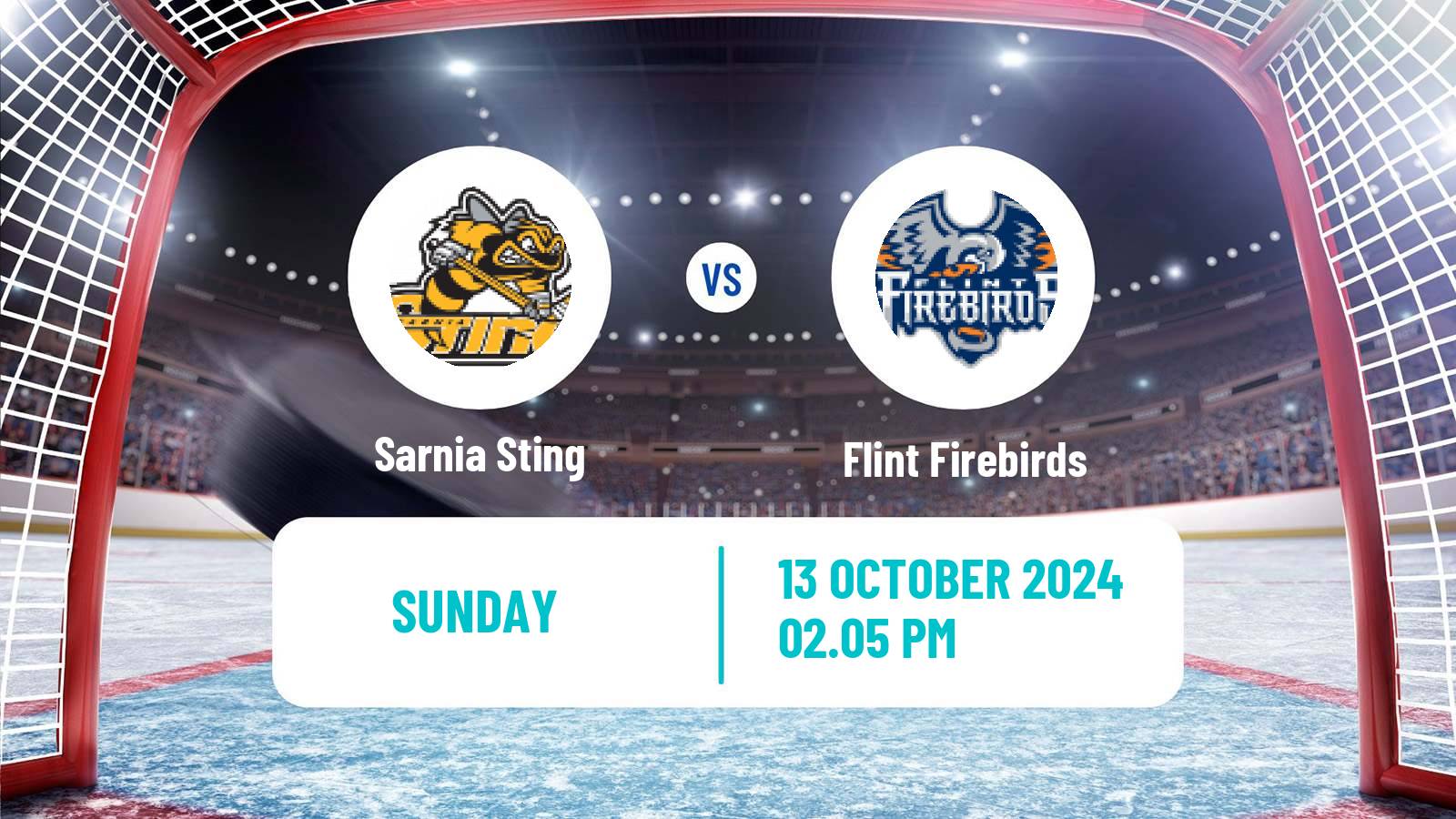 Hockey OHL Sarnia Sting - Flint Firebirds