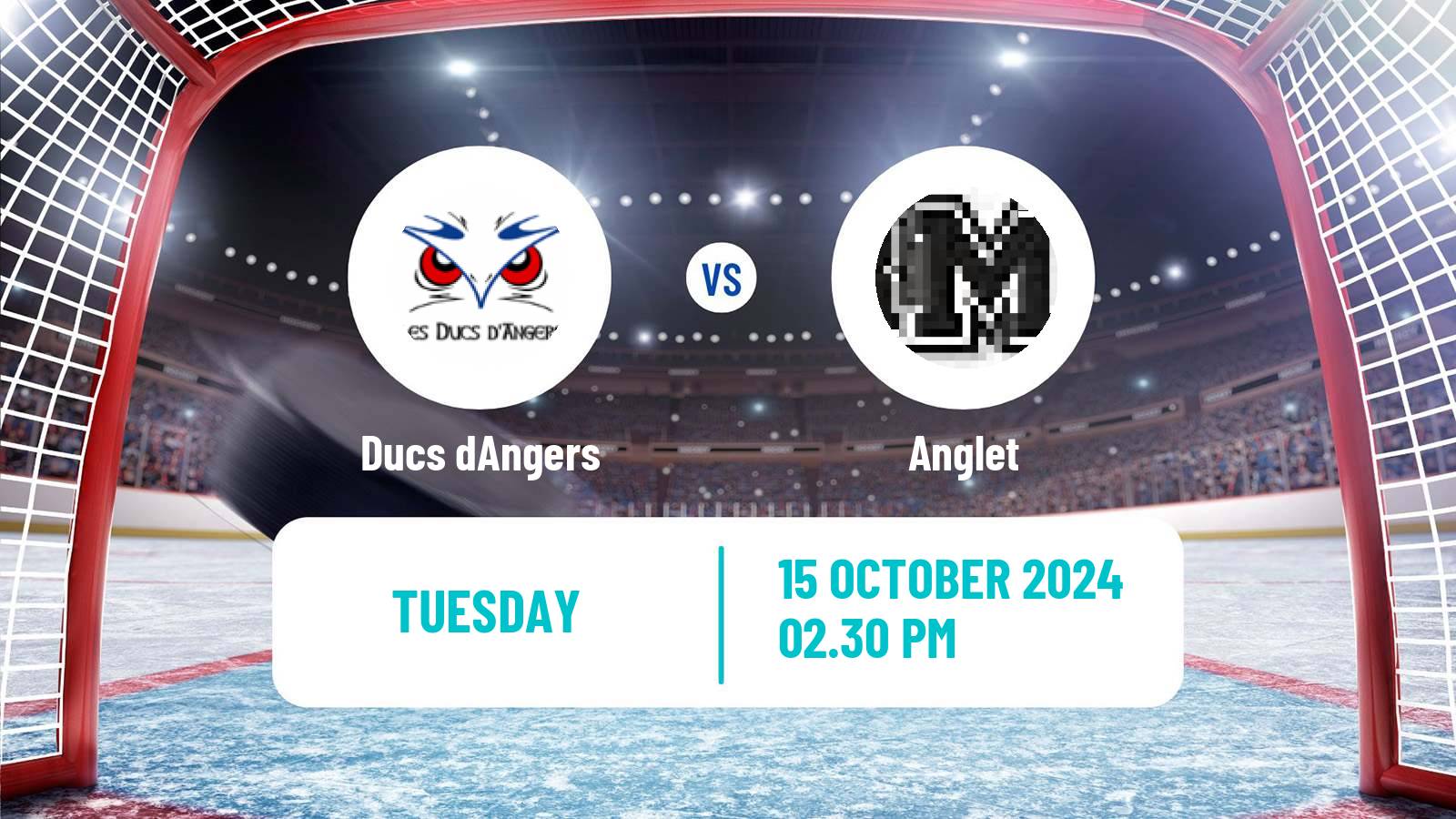 Hockey French Ligue Magnus Angers - Anglet