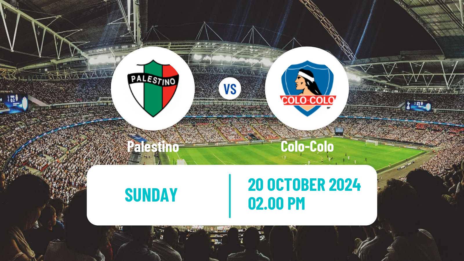 Soccer Chilean Primera Division Palestino - Colo-Colo