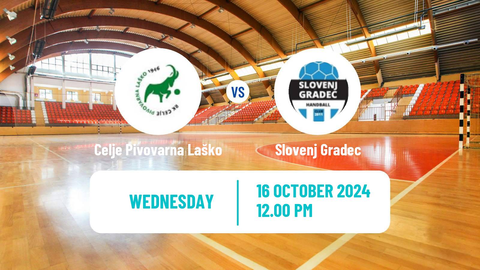 Handball Slovenian 1 NLB Liga Handball Celje Pivovarna Laško - Slovenj Gradec