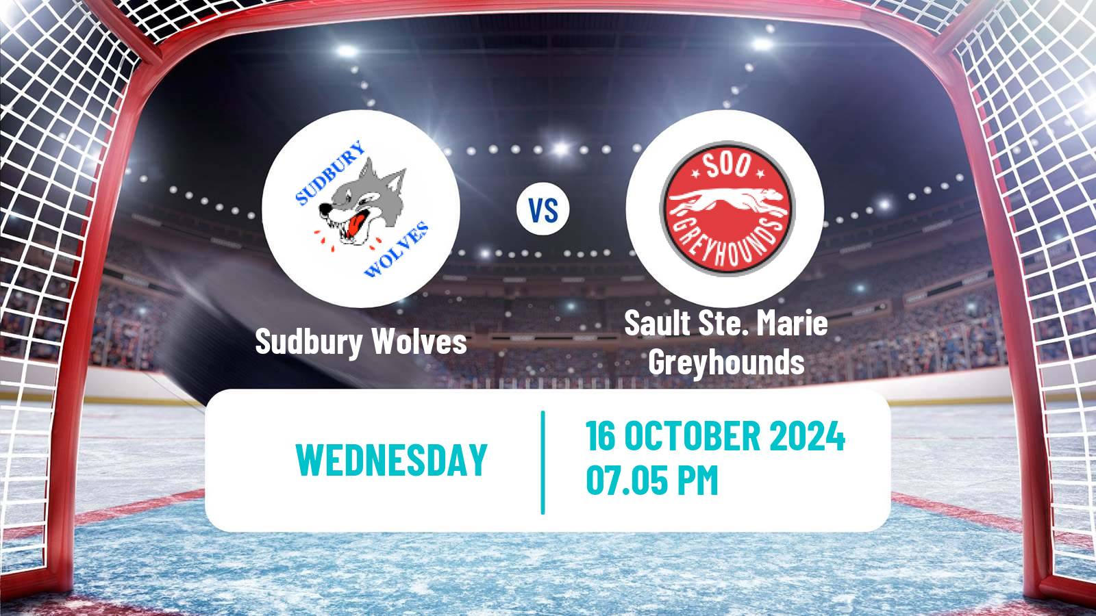 Hockey OHL Sudbury Wolves - Sault Ste. Marie Greyhounds