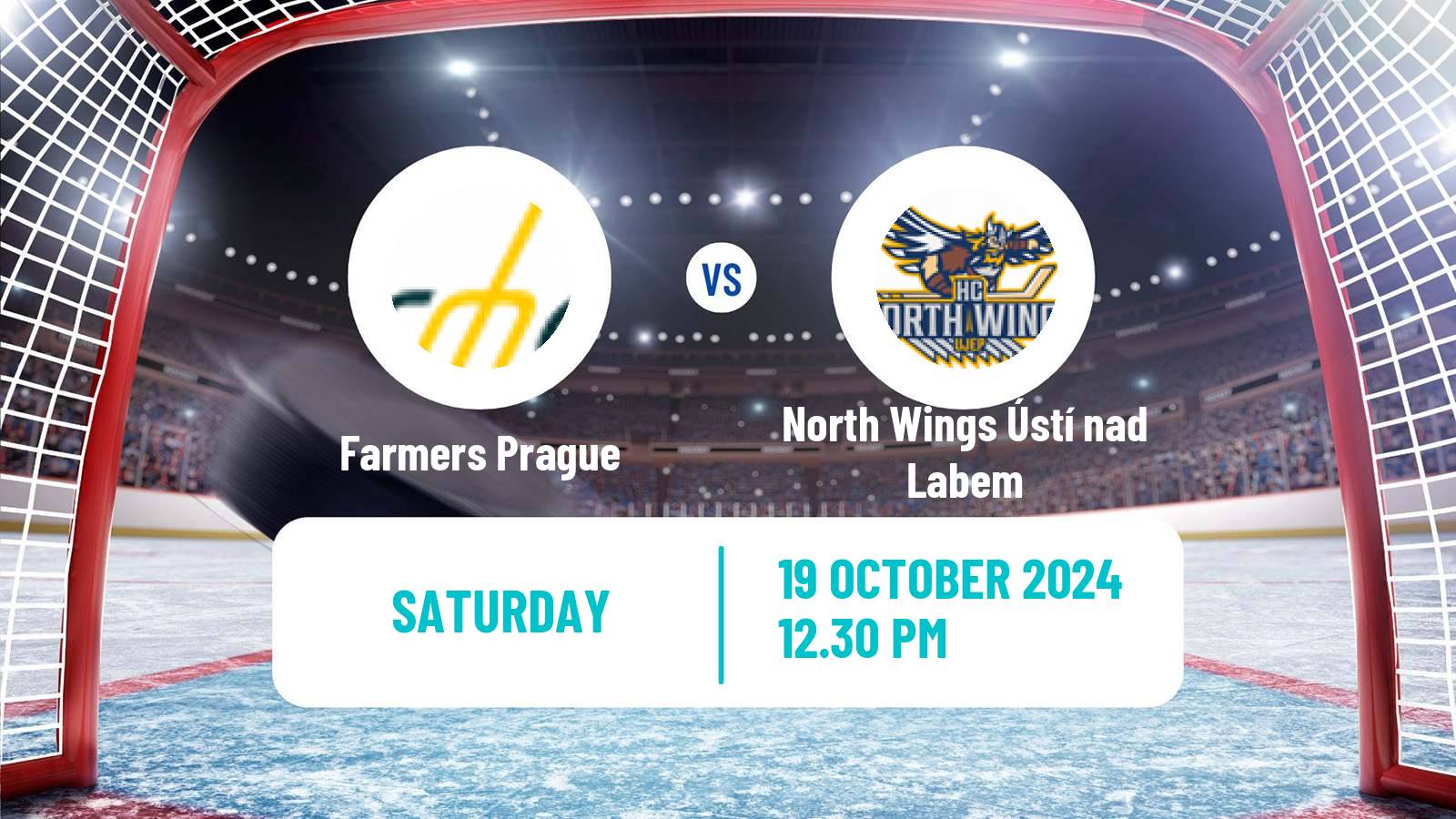 Hockey Czech ULLH Farmers Prague - North Wings Ústí nad Labem