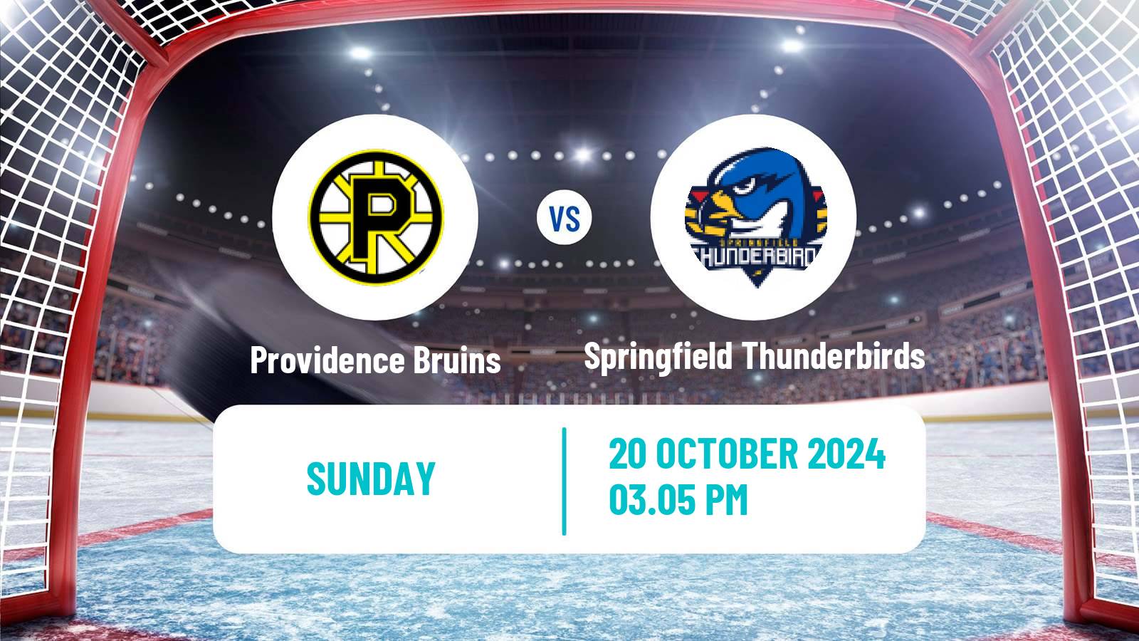 Hockey AHL Providence Bruins - Springfield Thunderbirds