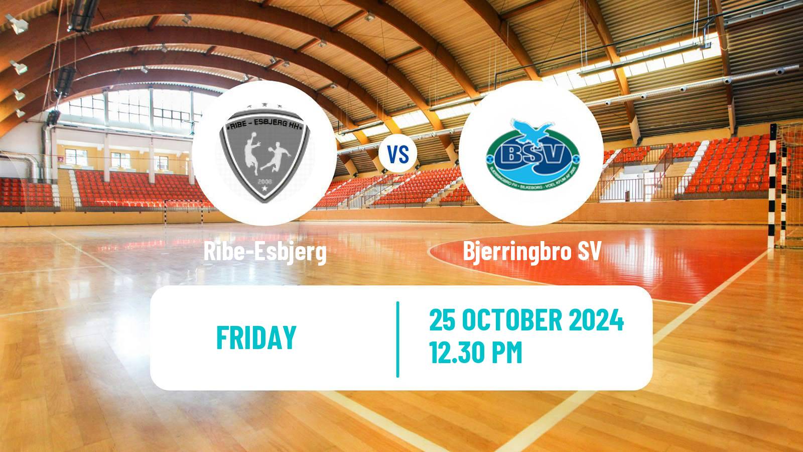 Handball Danish Handbold Ligaen Ribe-Esbjerg - Bjerringbro SV