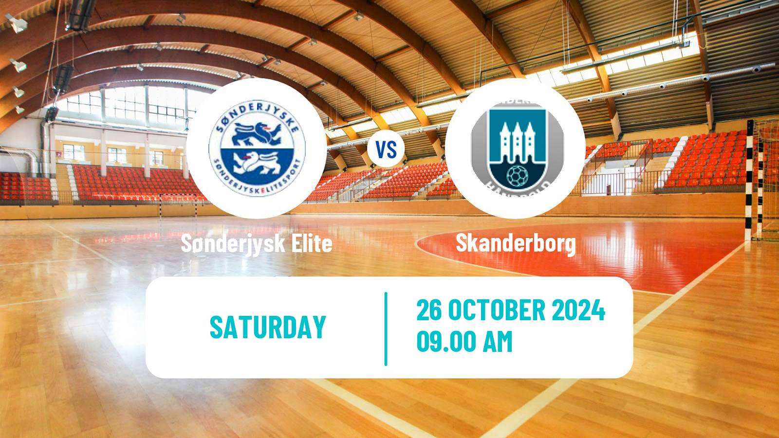 Handball Danish Handbold Ligaen Sønderjysk Elite - Skanderborg