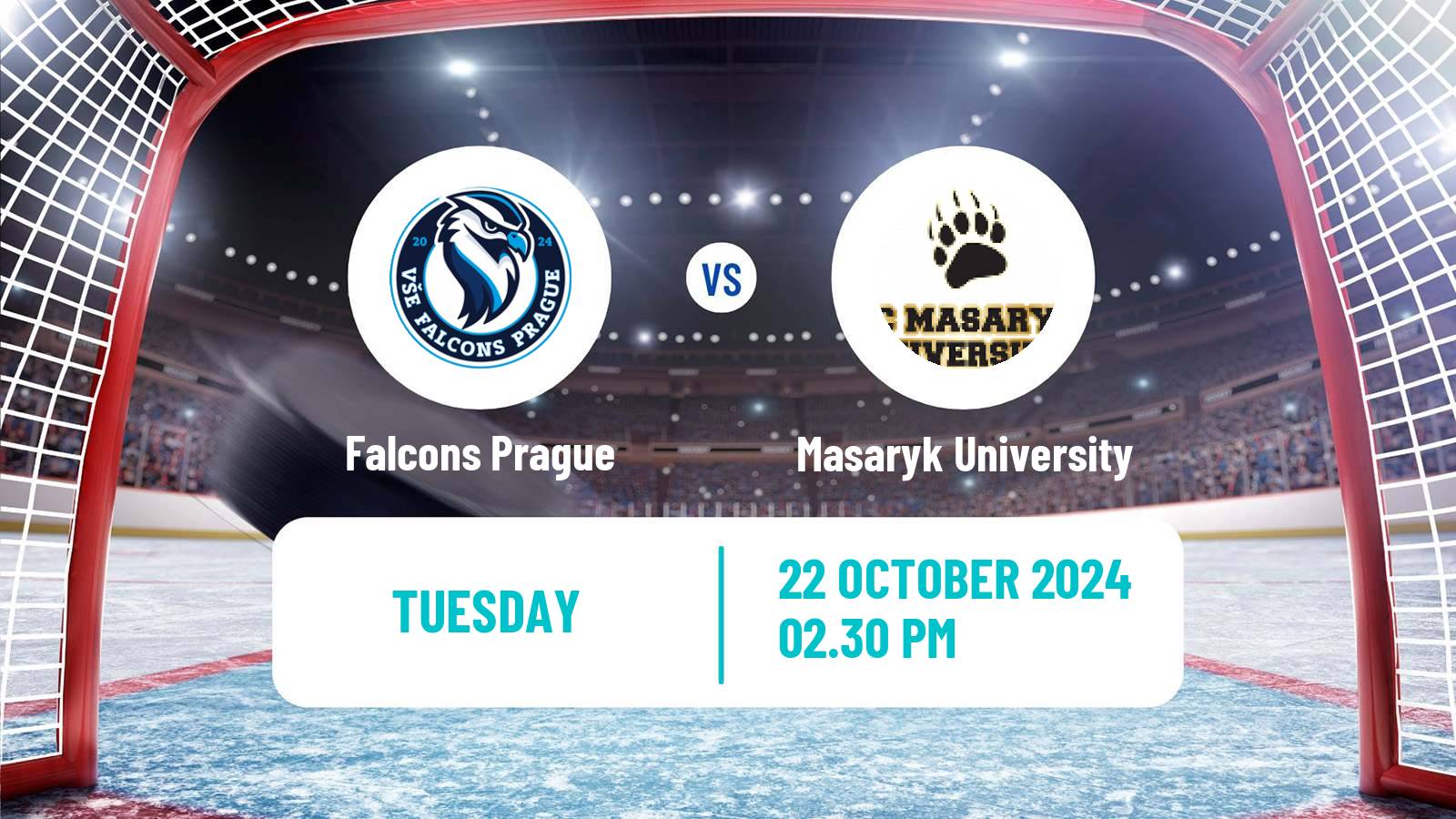 Hockey Czech ULLH Falcons Prague - Masaryk University