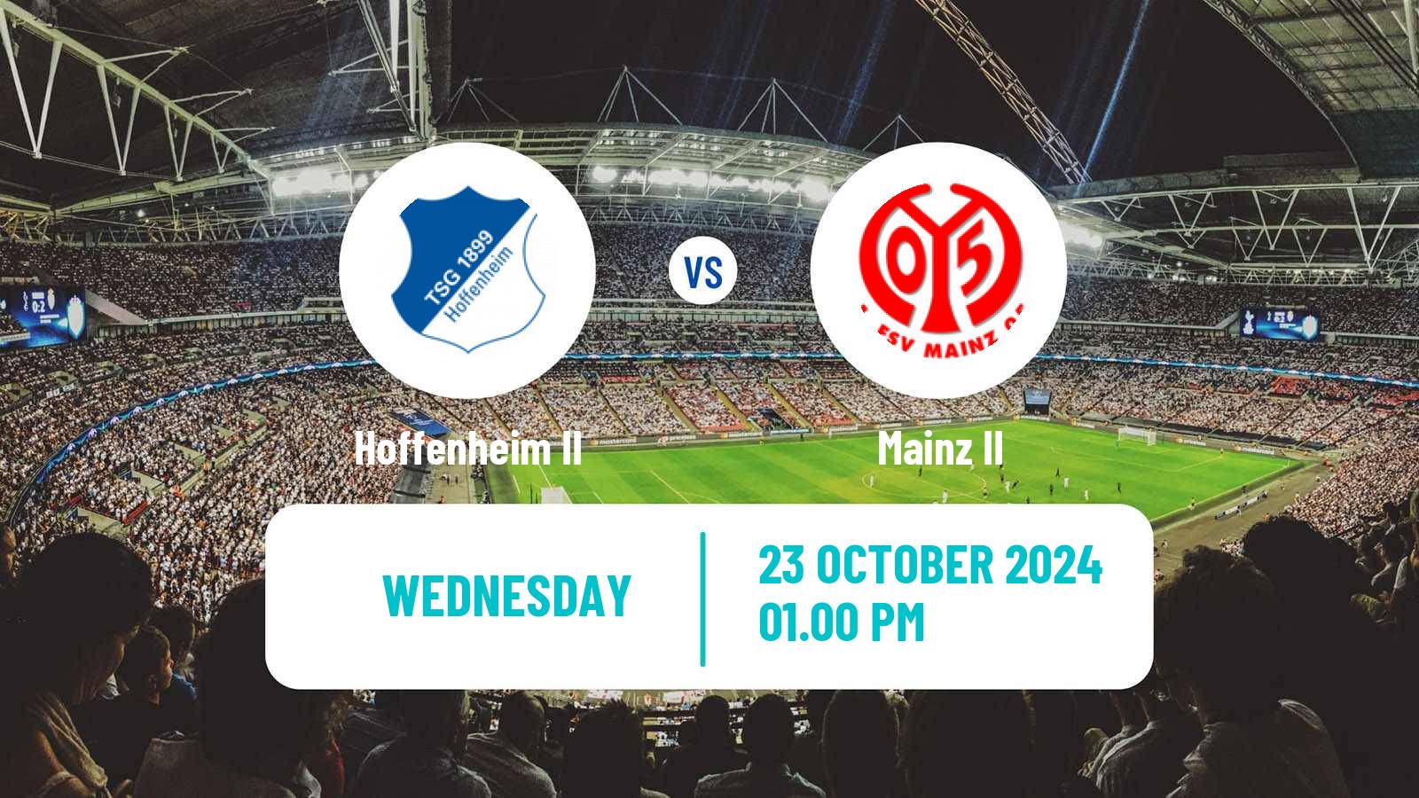 Soccer German Regionalliga Sudwest Hoffenheim II - Mainz II