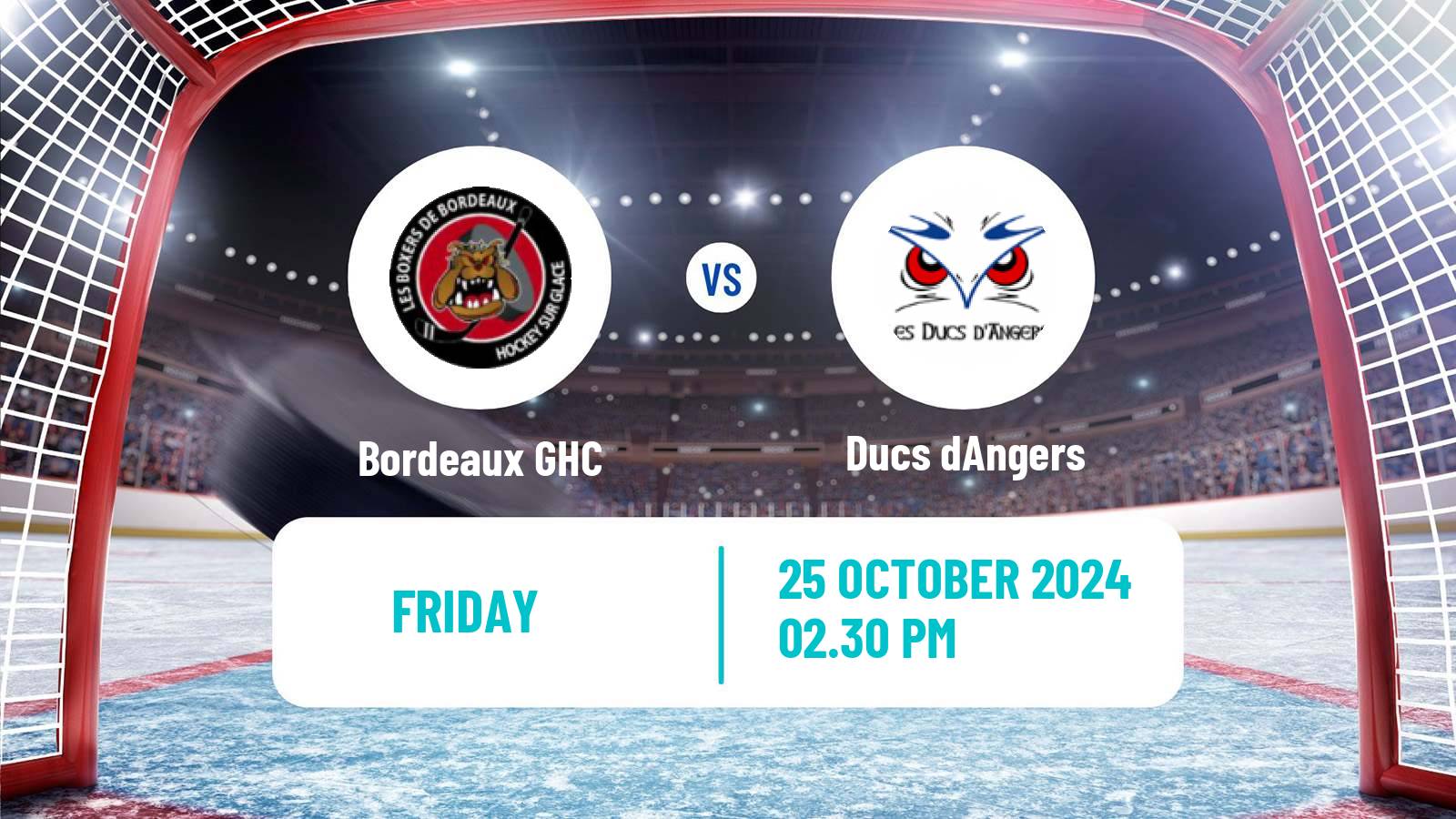 Hockey French Ligue Magnus Bordeaux - Angers