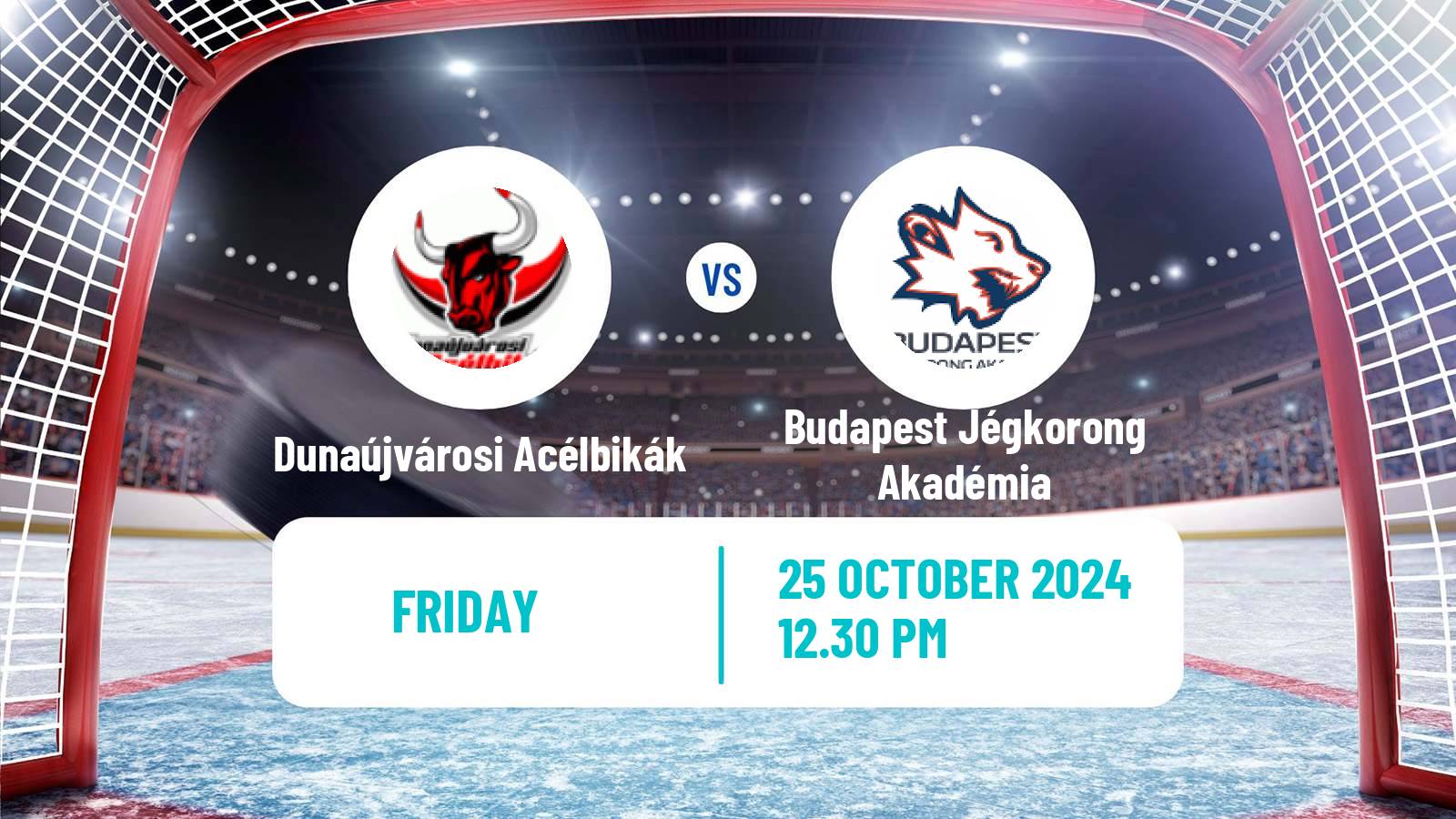 Hockey Hungarian Erste Liga Hockey Dunaújvárosi Acélbikák - Budapest Jégkorong Akadémia