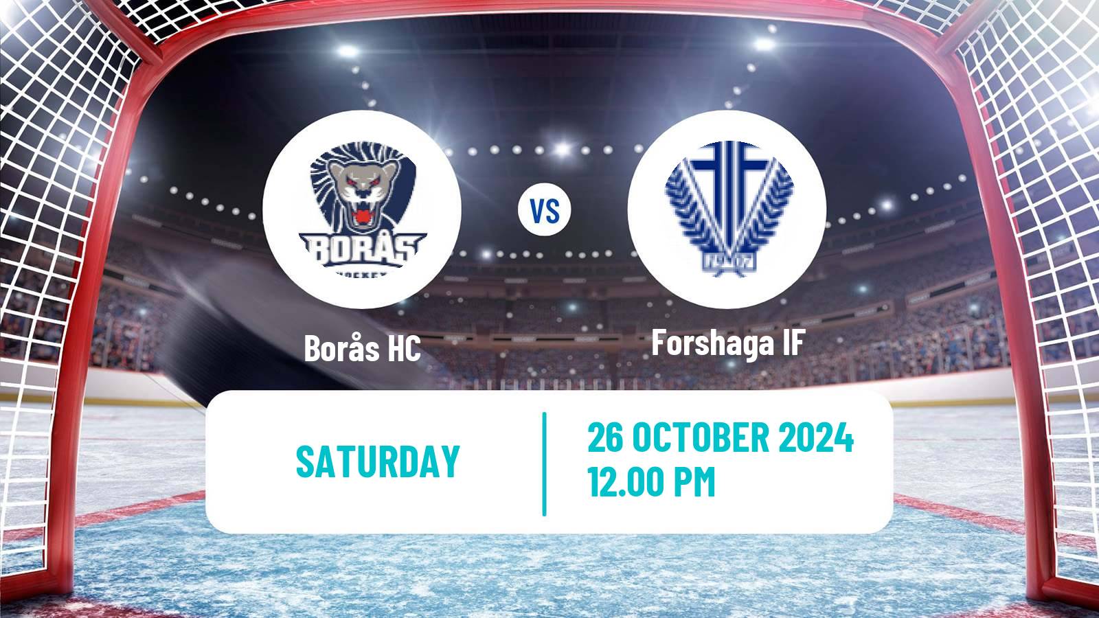 Hockey Swedish HockeyEttan Vastra Borås - Forshaga