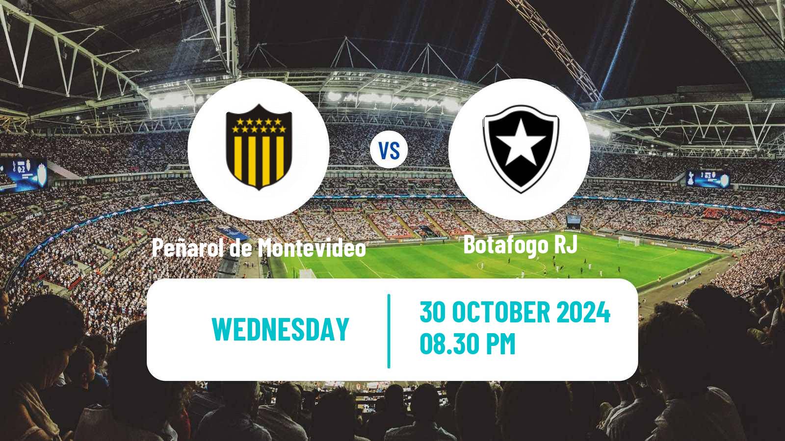 Soccer Copa Libertadores Peñarol de Montevideo - Botafogo RJ