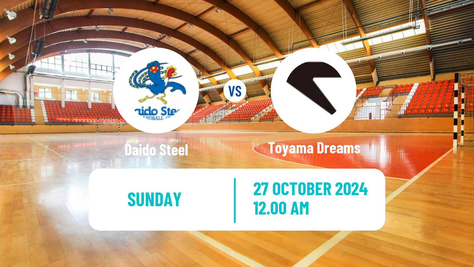 Handball Japan JHL Handball Daido Steel - Toyama Dreams