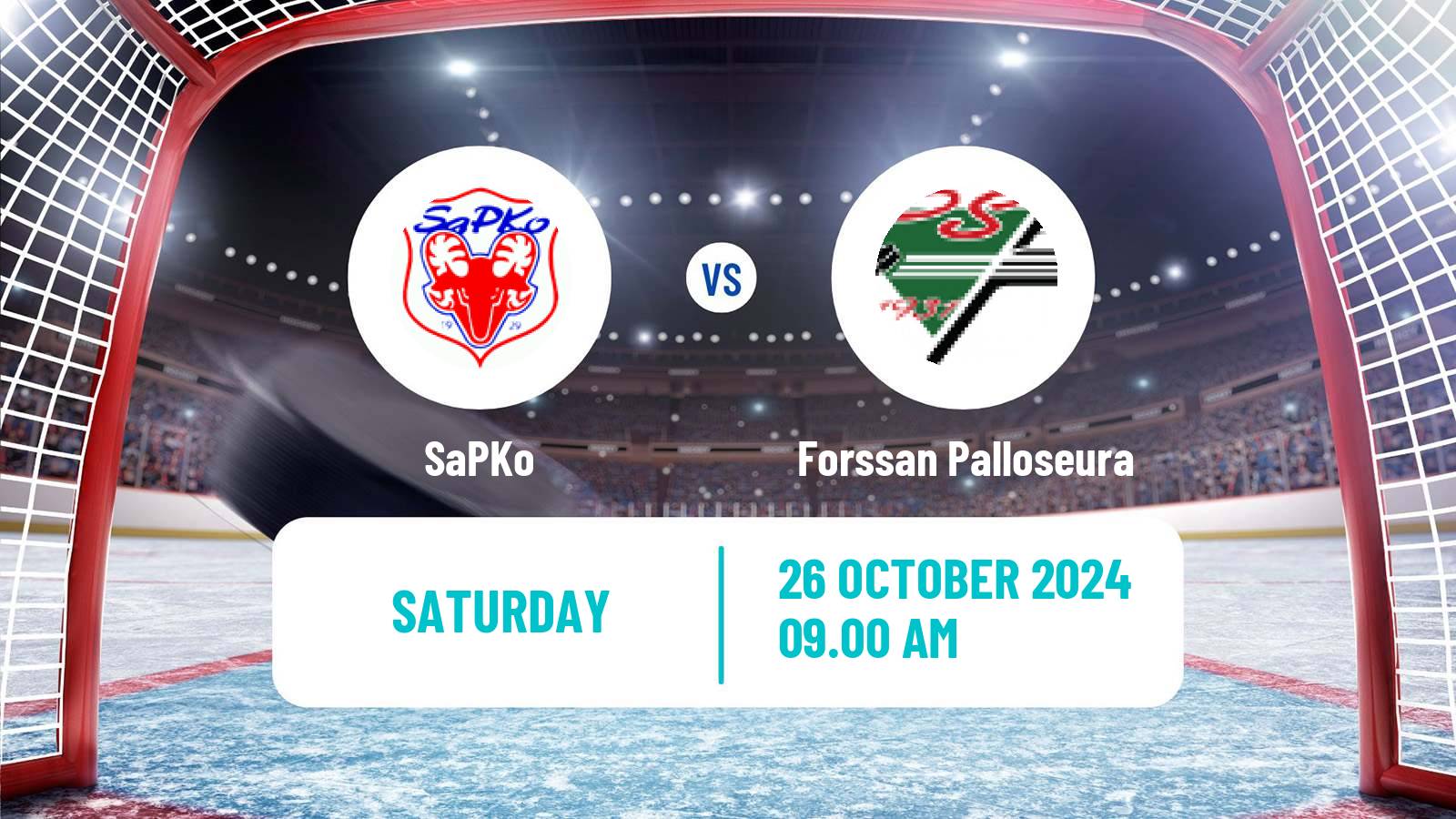 Hockey Finnish Suomi-sarja SaPKo - Forssan Palloseura