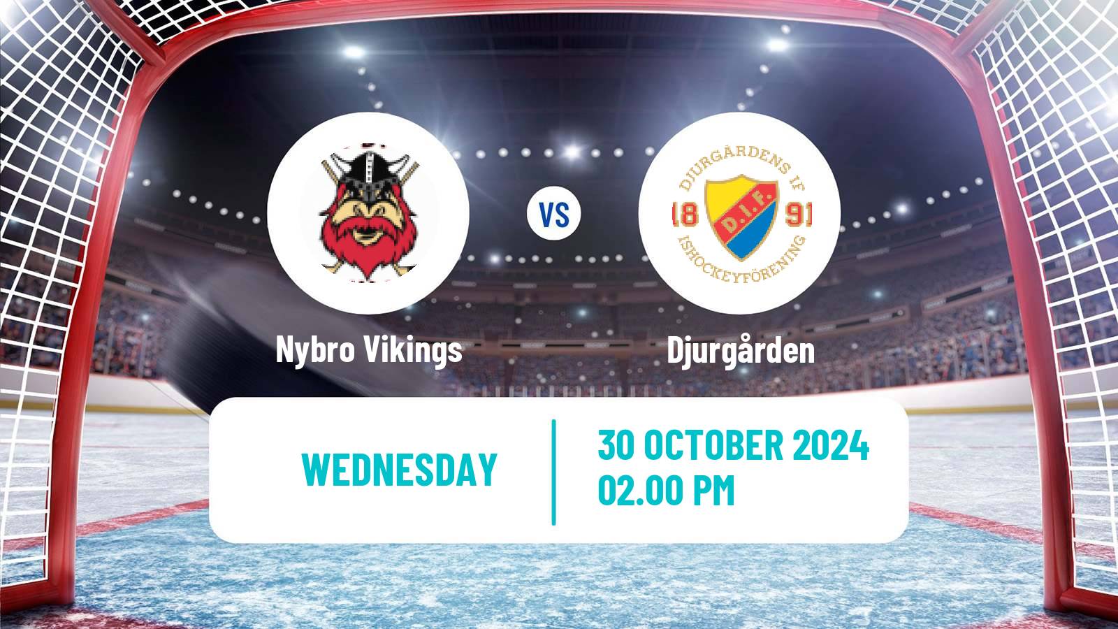 Hockey Swedish Hockey Allsvenskan Nybro Vikings - Djurgården