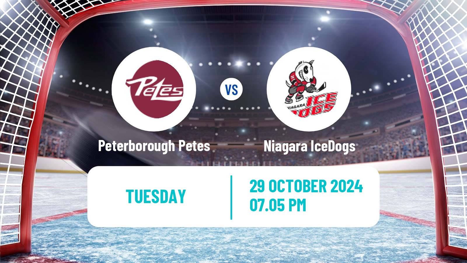 Hockey OHL Peterborough Petes - Niagara IceDogs