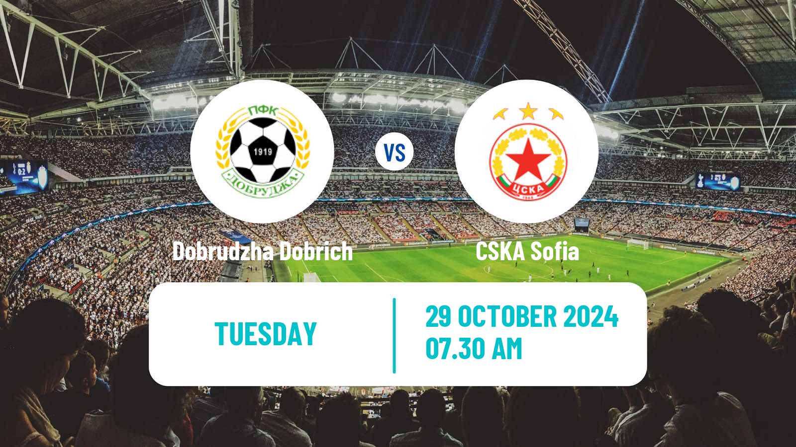 Soccer Bulgarian Cup Dobrudzha Dobrich - CSKA Sofia