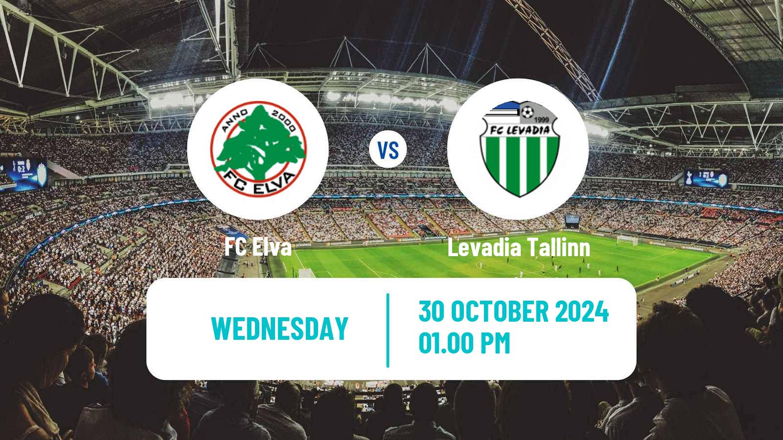 Soccer Estonian Cup Elva - Levadia Tallinn