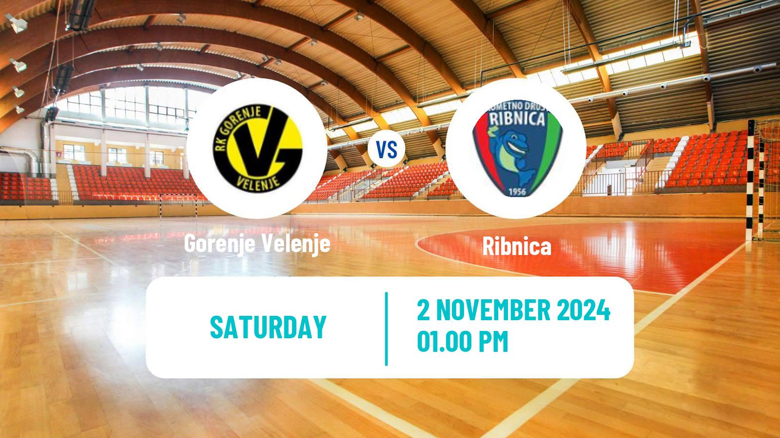 Handball Slovenian 1 NLB Liga Handball Gorenje Velenje - Ribnica