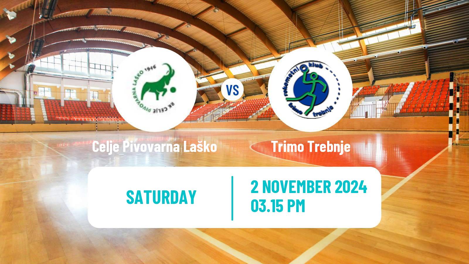 Handball Slovenian 1 NLB Liga Handball Celje Pivovarna Laško - Trimo Trebnje