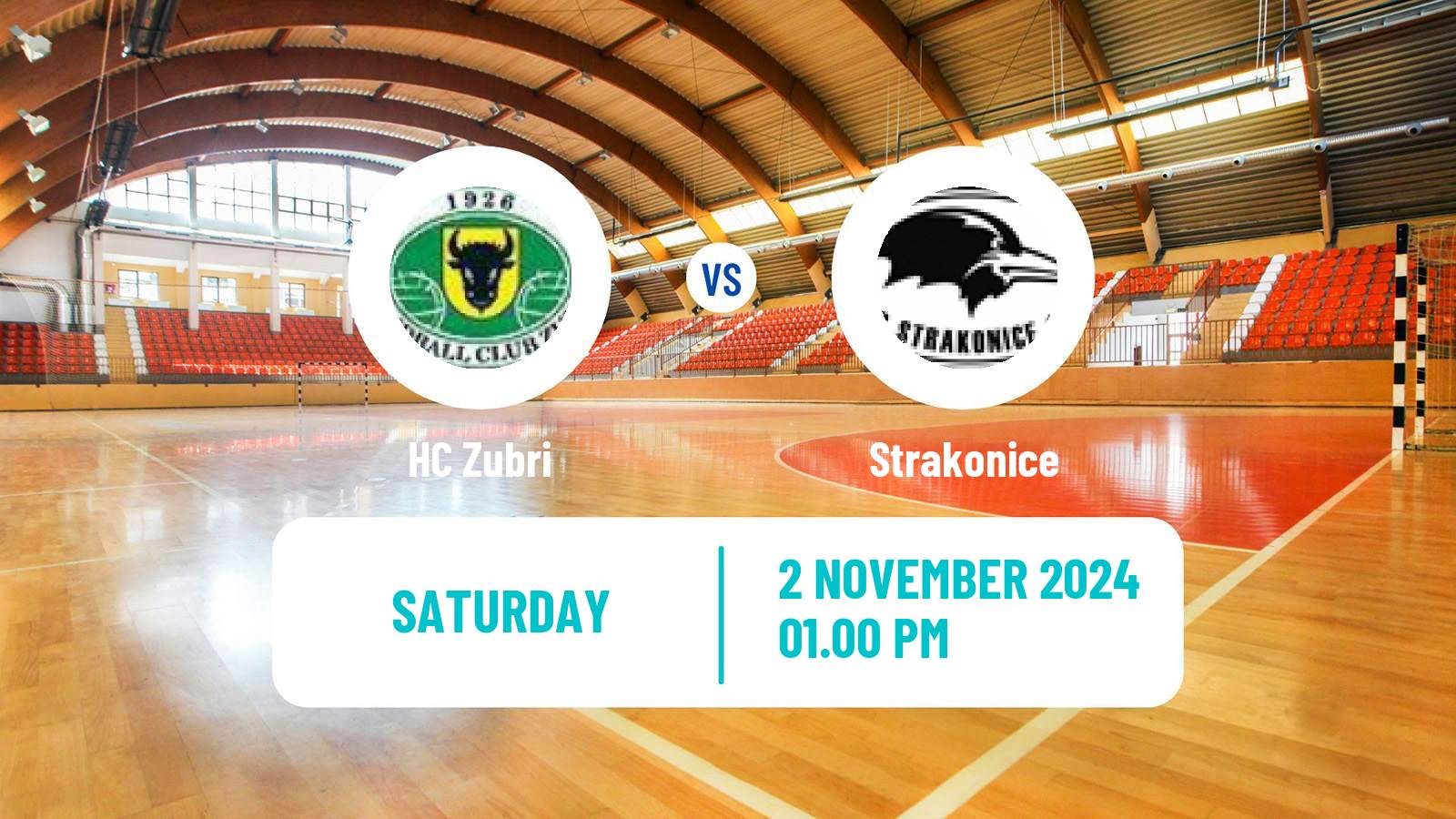 Handball Czech Extraliga Handball Zubri - Strakonice