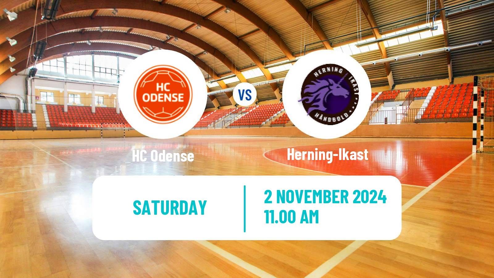 Handball Danish Handbold Ligaen Women Odense - Herning-Ikast