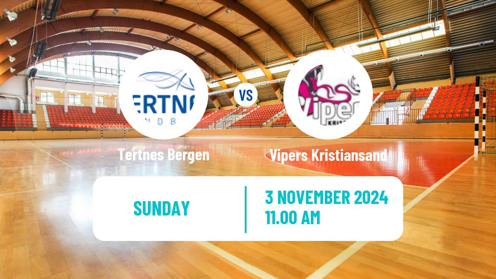 Handball Norwegian Eliteserien Handball Women Tertnes Bergen - Vipers Kristiansand