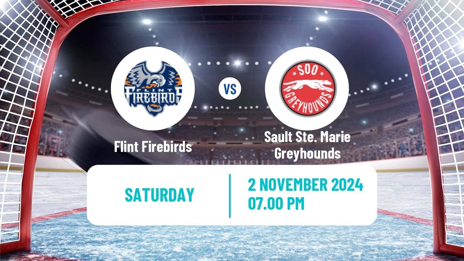 Hockey OHL Flint Firebirds - Sault Ste. Marie Greyhounds