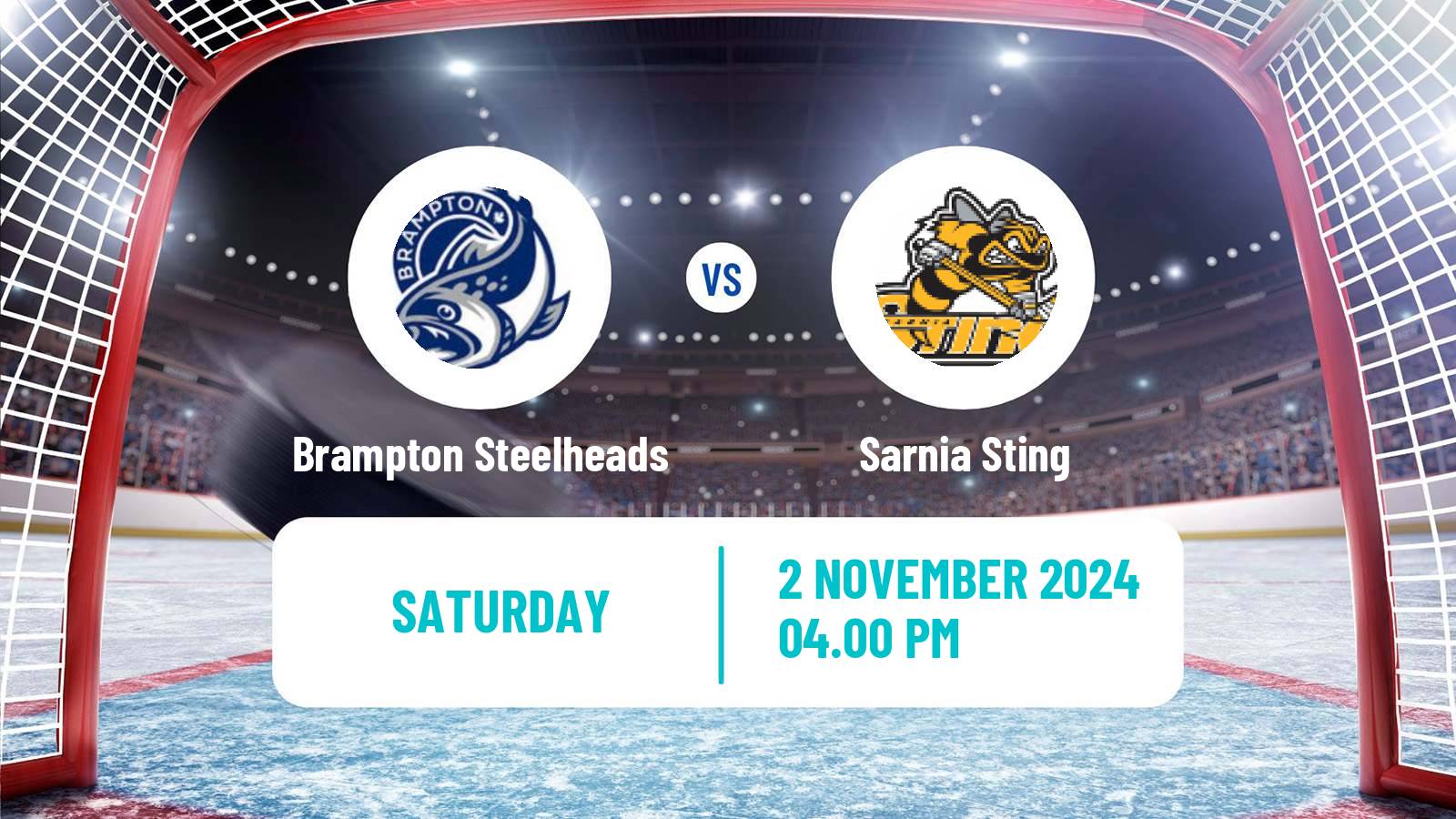 Hockey OHL Brampton Steelheads - Sarnia Sting