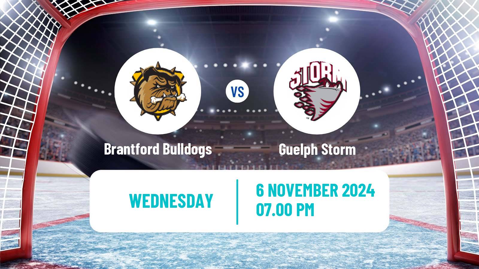 Hockey OHL Brantford Bulldogs - Guelph Storm