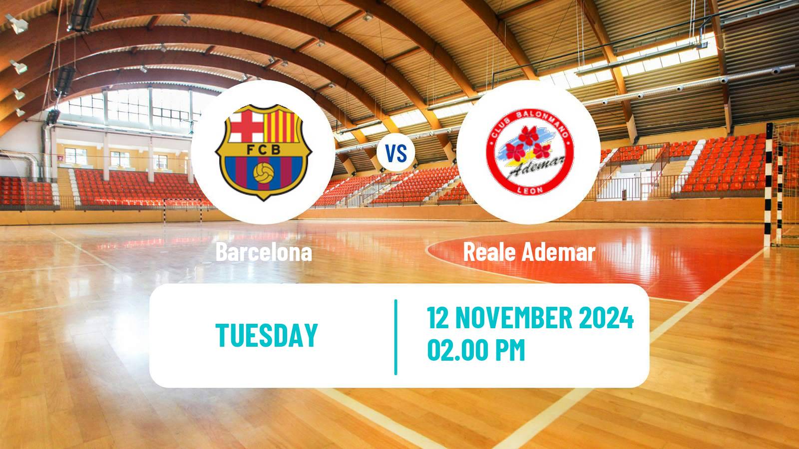 Handball Spanish Liga ASOBAL Barcelona - Reale Ademar