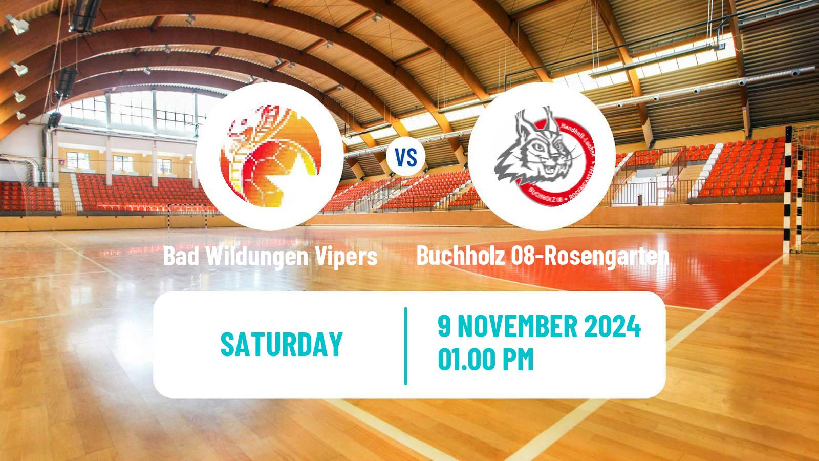 Handball German 2 Bundesliga Handball Women Bad Wildungen Vipers - Buchholz 08-Rosengarten