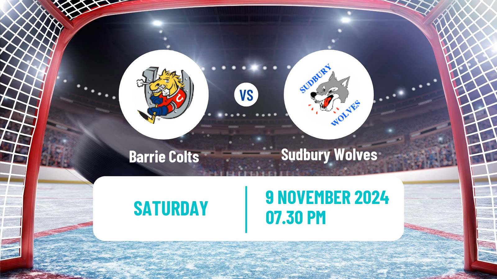 Hockey OHL Barrie Colts - Sudbury Wolves