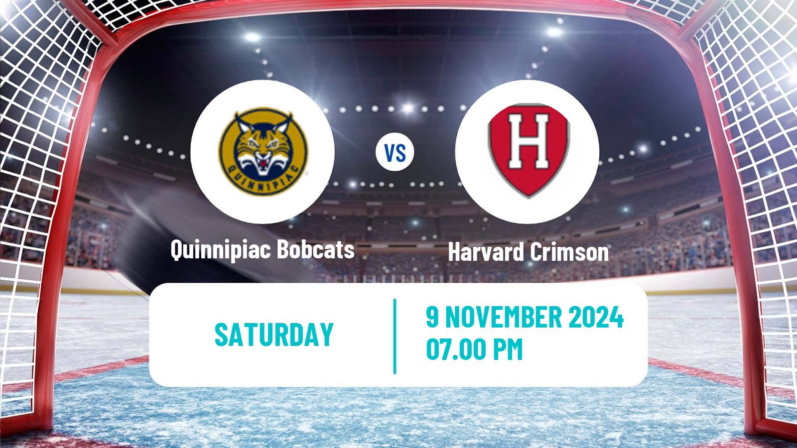 Hockey NCAA Hockey Quinnipiac Bobcats - Harvard Crimson