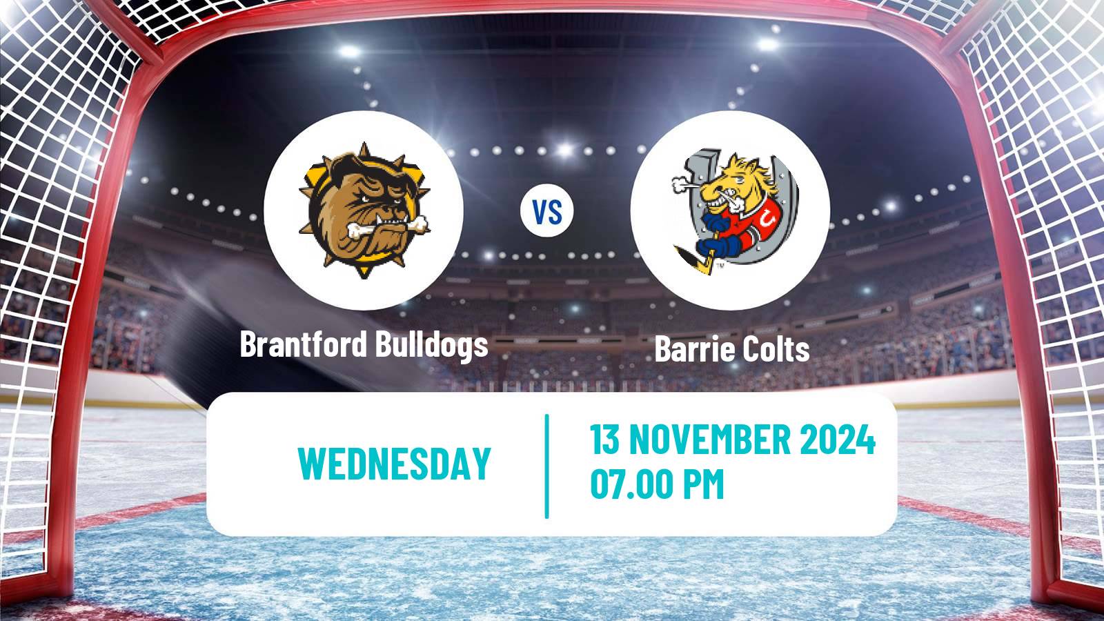 Hockey OHL Brantford Bulldogs - Barrie Colts