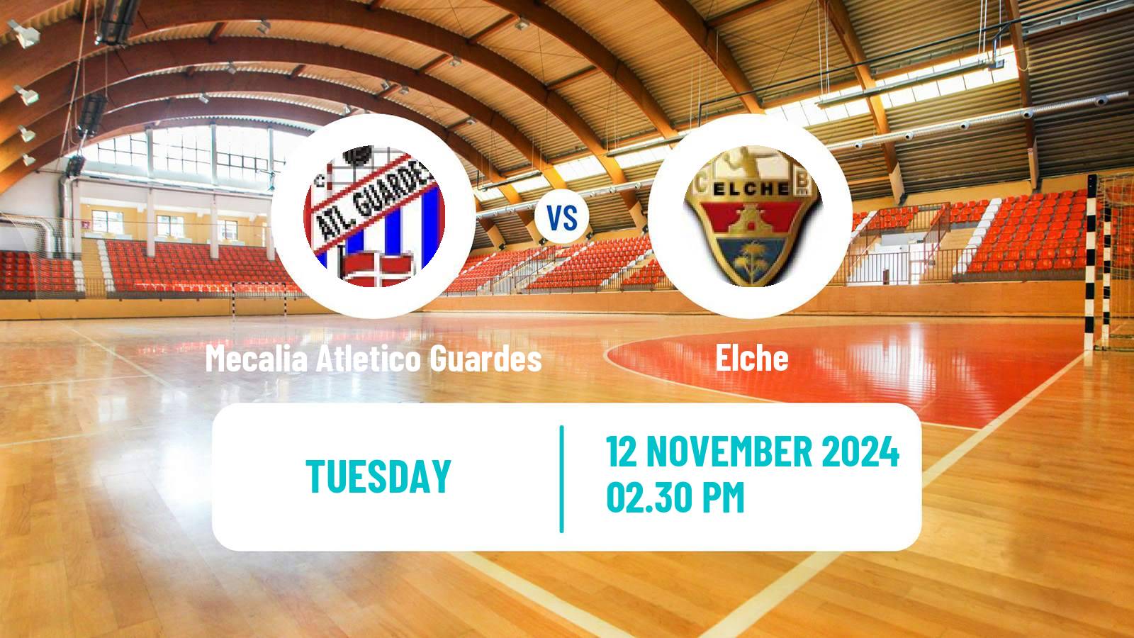 Handball Spanish División de Honor Handball Women Mecalia Atletico Guardes - Elche