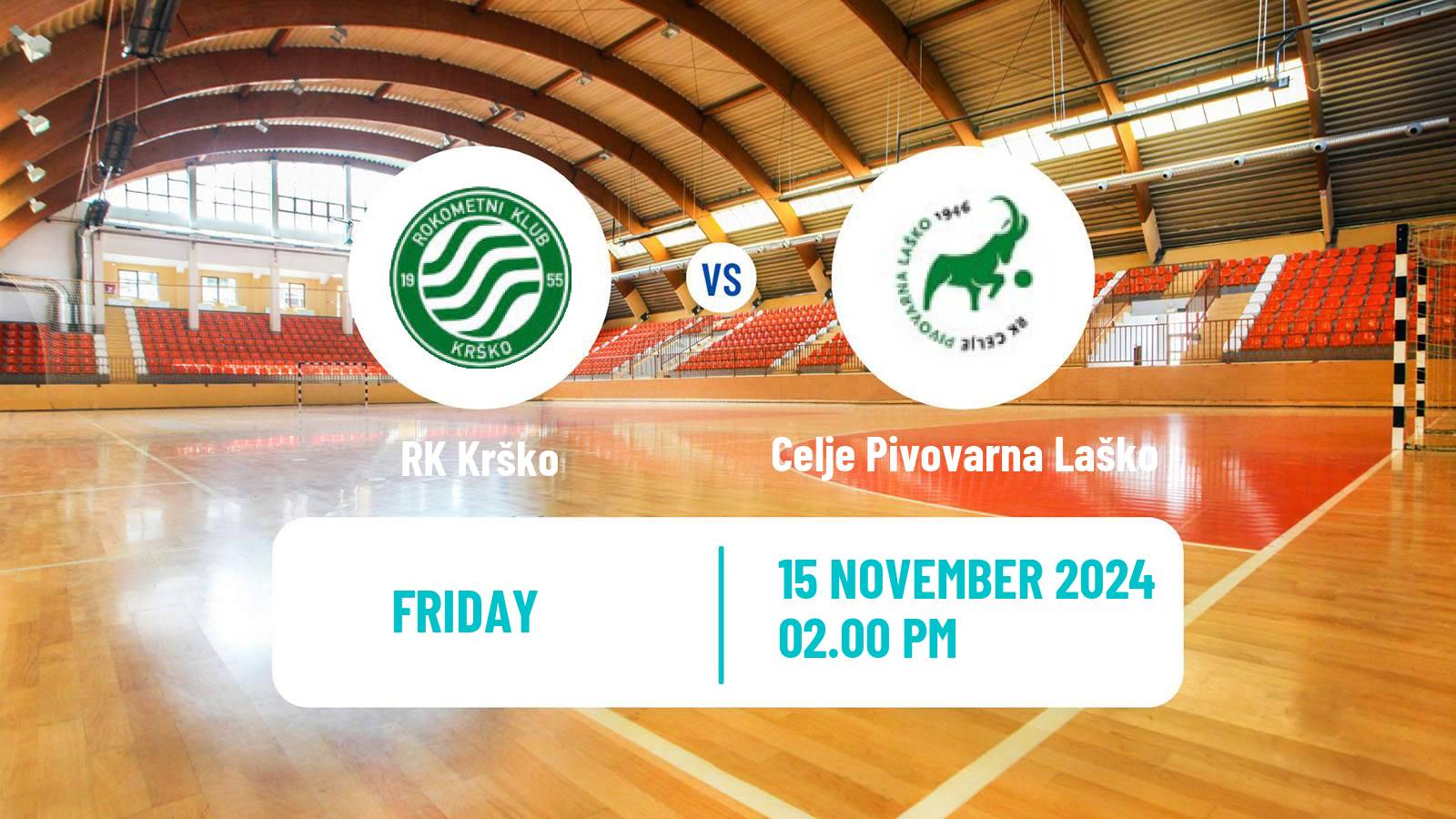 Handball Slovenian 1 NLB Liga Handball Krško - Celje Pivovarna Laško