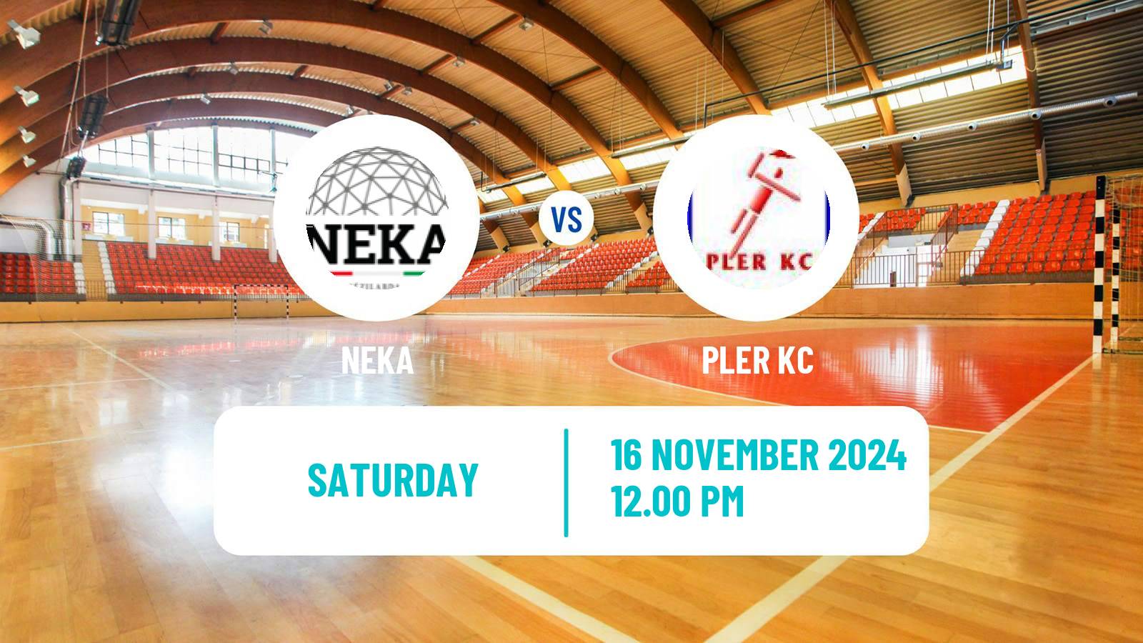 Handball Hungarian Division 1 Handball NEKA - PLER