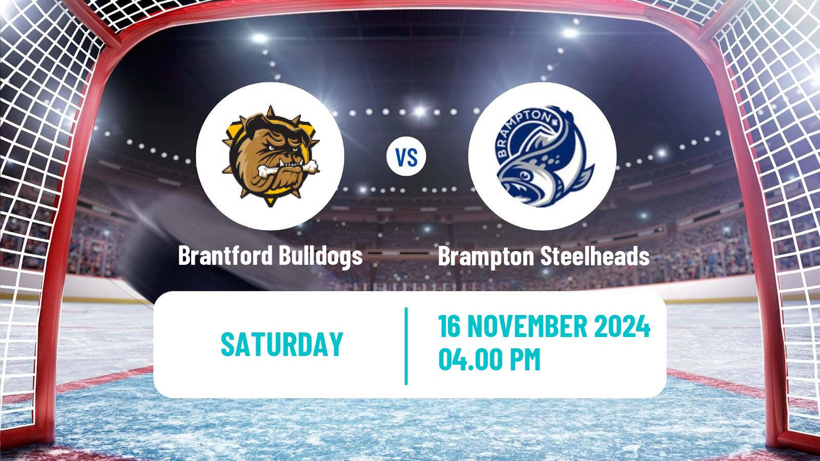 Hockey OHL Brantford Bulldogs - Brampton Steelheads