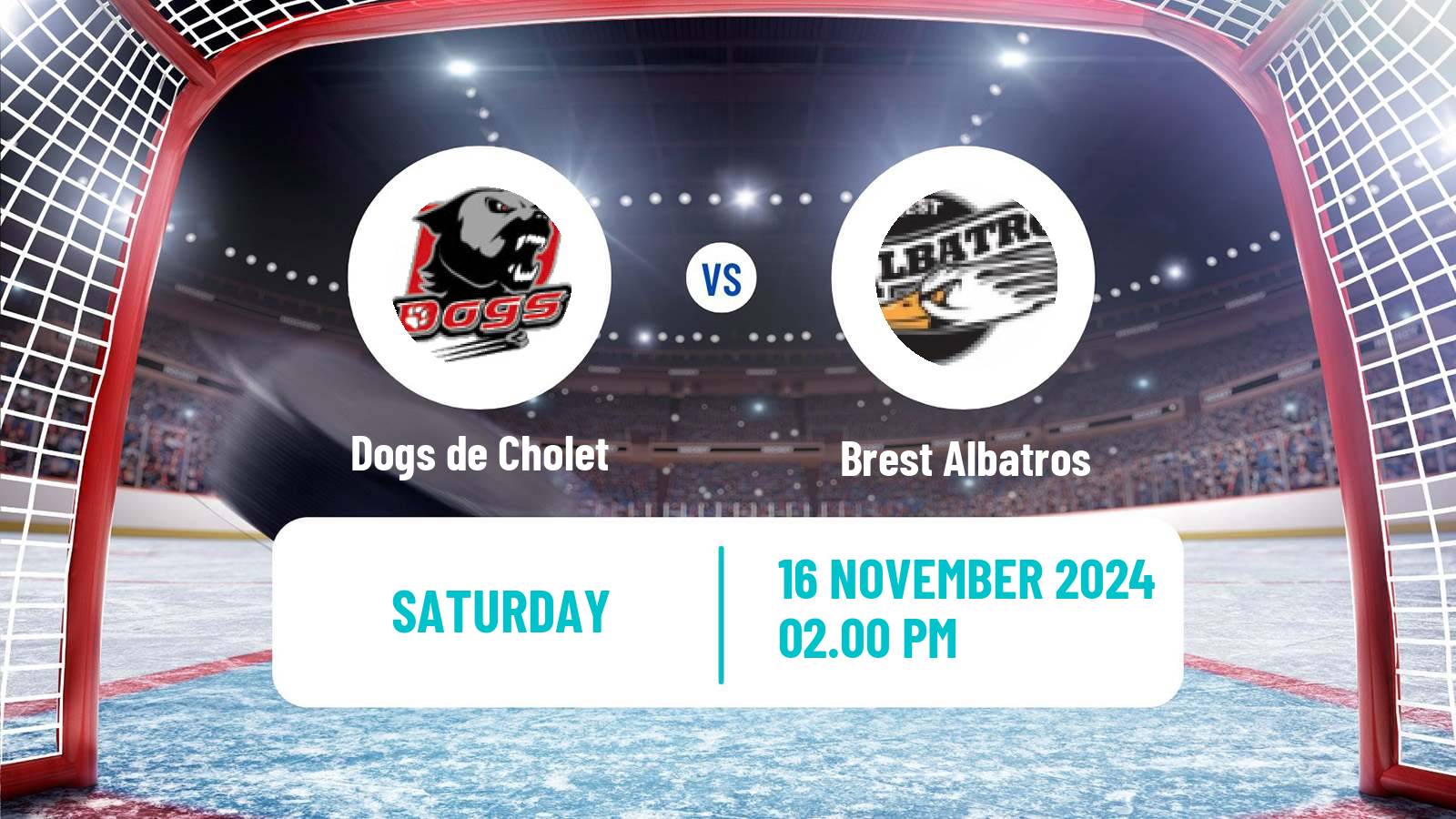 Hockey French D1 Ice Hockey Dogs de Cholet - Brest Albatros