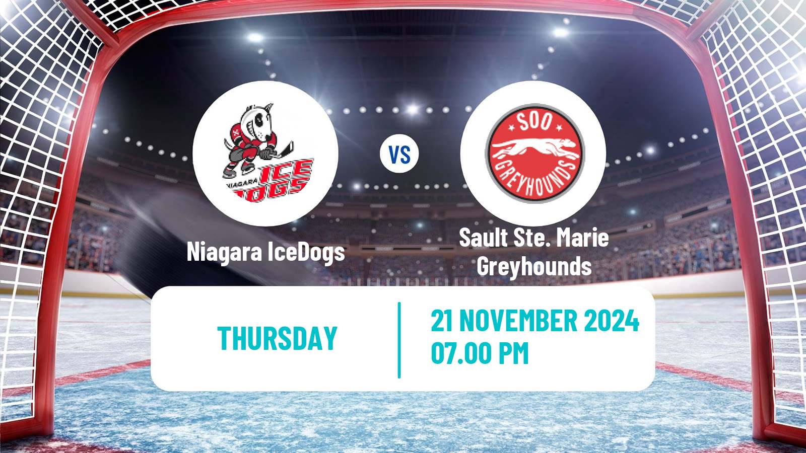 Hockey OHL Niagara IceDogs - Sault Ste. Marie Greyhounds