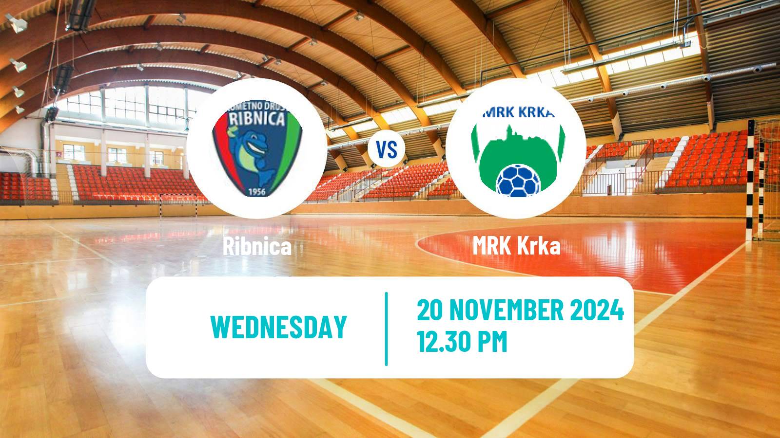 Handball Slovenian 1 NLB Liga Handball Ribnica - Krka