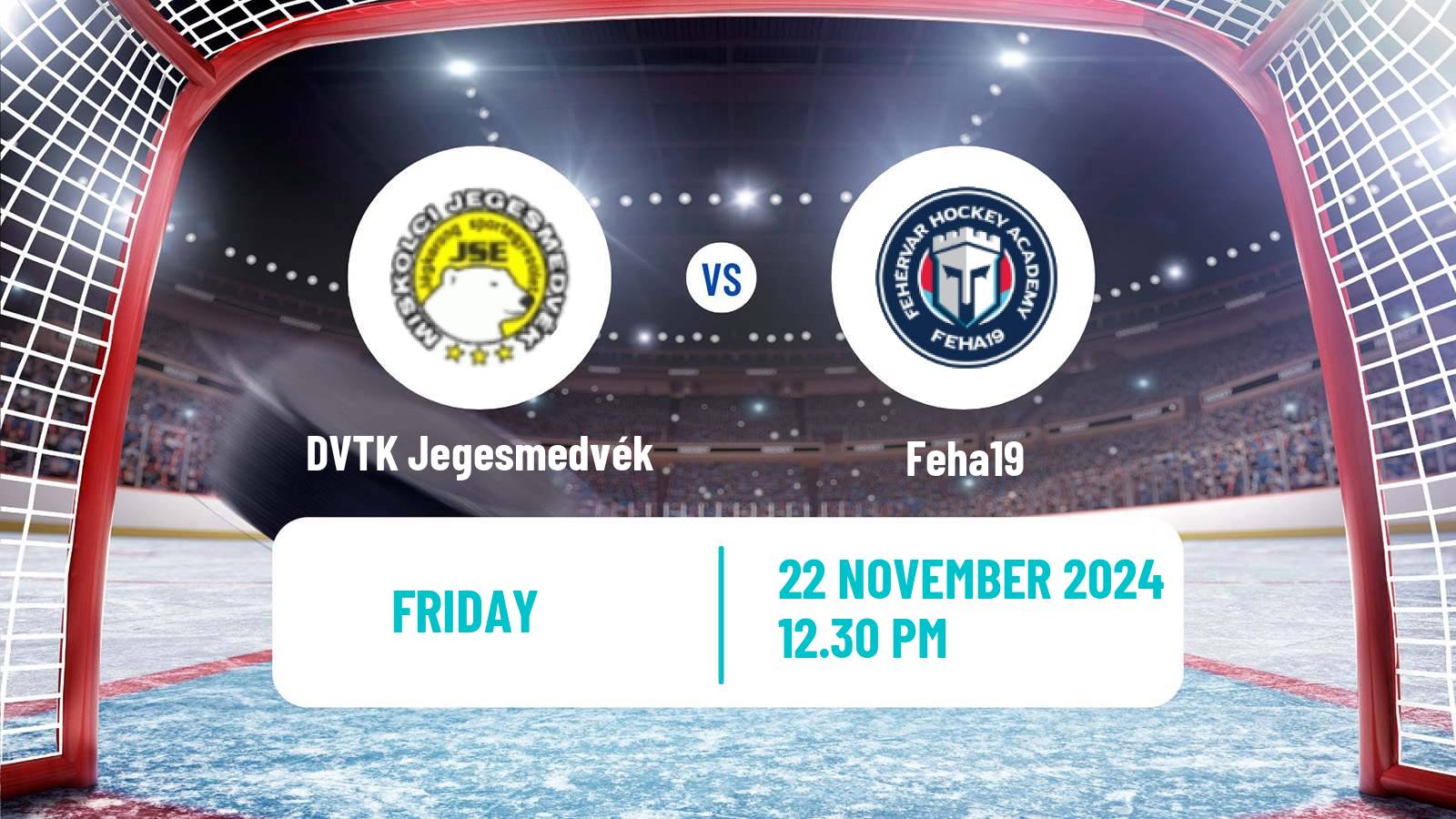 Hockey Hungarian Erste Liga Hockey DVTK Jegesmedvék - Feha19