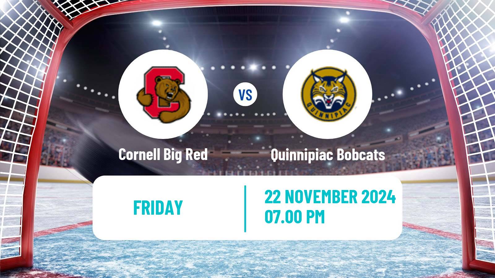 Hockey NCAA Hockey Cornell Big Red - Quinnipiac Bobcats